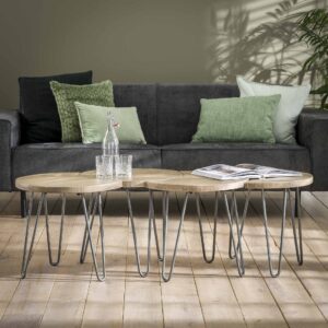 0374-9d02-4923-b9bf-261d7e7fe047.jpg D - Hoyz - Salontafelset - Mangohout - Ø50 - 4 Stuks - 50x50x45