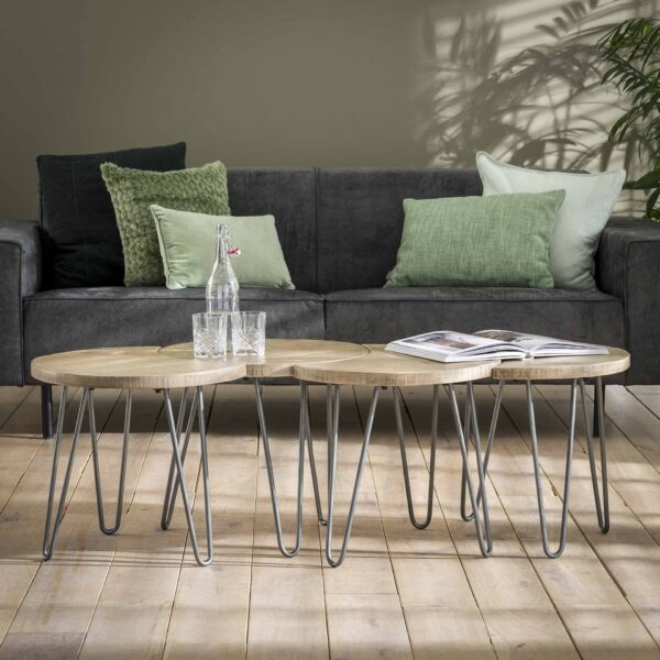 0374-9d02-4923-b9bf-261d7e7fe047.jpg D - Hoyz - Salontafelset - Mangohout - Ø50 - 4 Stuks - 50x50x45