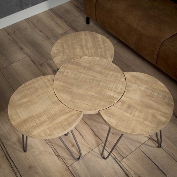 0c18-456e-46f3-b758-f50a61508333.jpg D - Hoyz - Salontafelset - Mangohout - Ø50 - 4 Stuks - 50x50x45