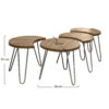 7dfb-cbbb-4c89-ad8a-79e25db1f1f8.jpg D - Hoyz - Salontafelset - Mangohout - Ø50 - 4 Stuks - 50x50x45