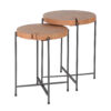 8c8b-582f-4dd0-8afa-265db3b1b4ab.jpg D - Hoyz - Bijzettafel Set van 2 - Ø42cm - Rond - Hout